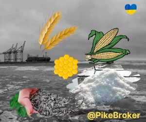 Митне оформлення експорту | імпорту зерна, муки, меду, солі….